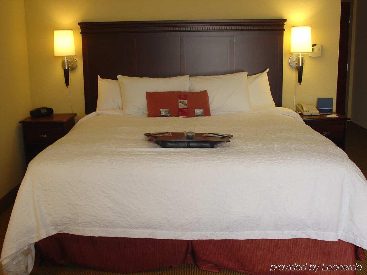 Hampton Inn & Suites ゲインズビル 部屋 写真